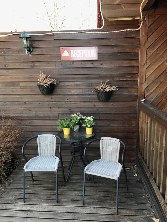Blue Grove Guesthouse South Iceland Exterior foto